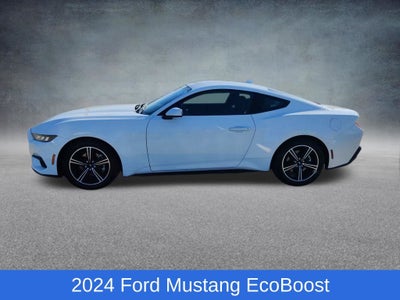 2024 Ford Mustang EcoBoost