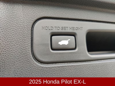 2025 Honda Pilot EX-L